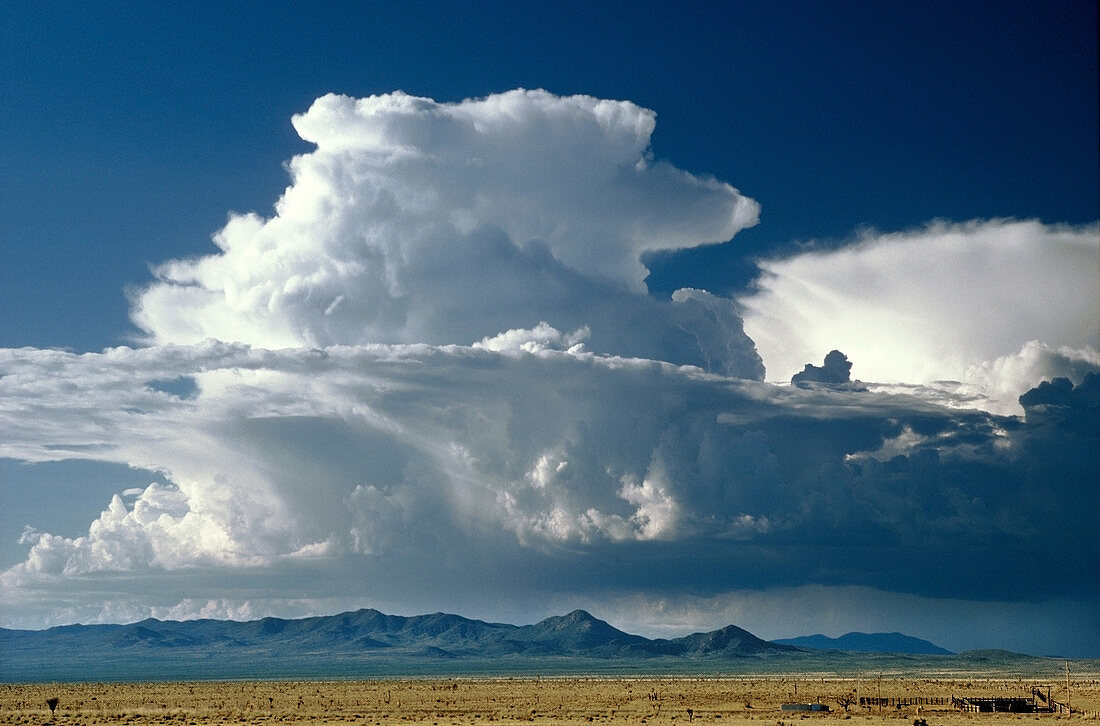 Cumulonimbus Clouds