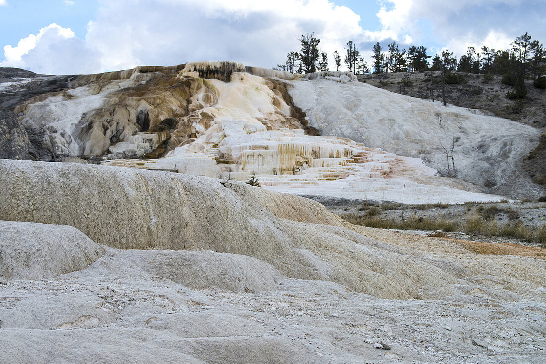 Mammoth Hot Springs,Yellowstone NP,WY