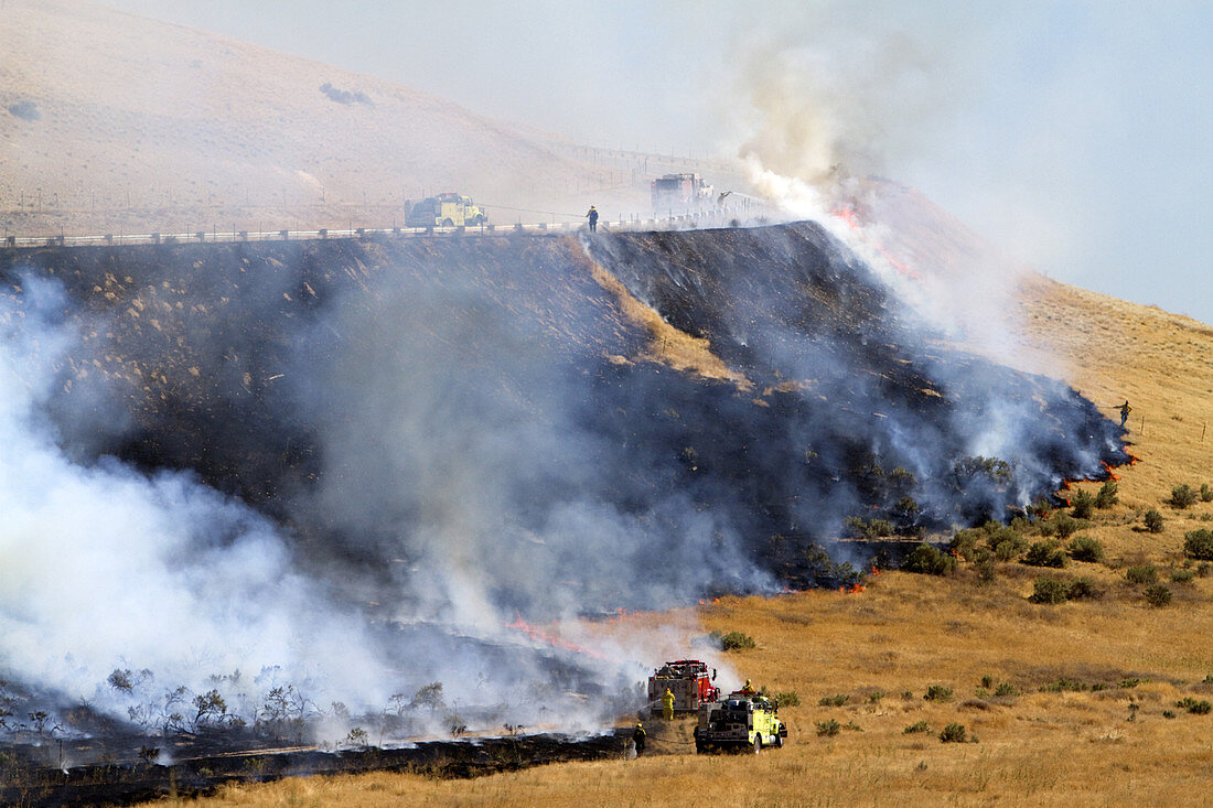 Wildfire in Idaho