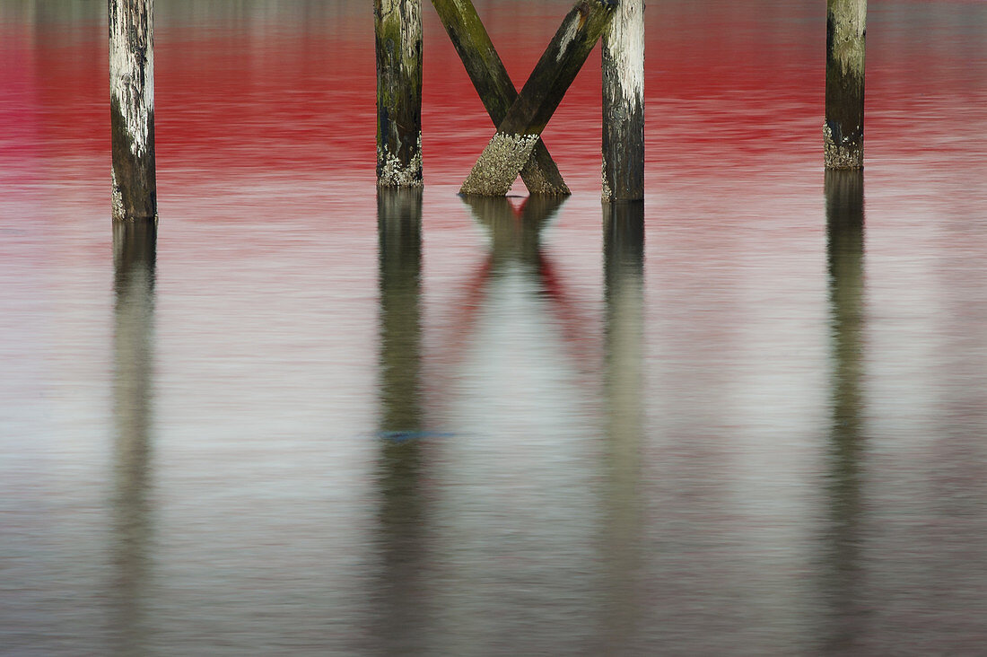Dock Pilings and Reflections