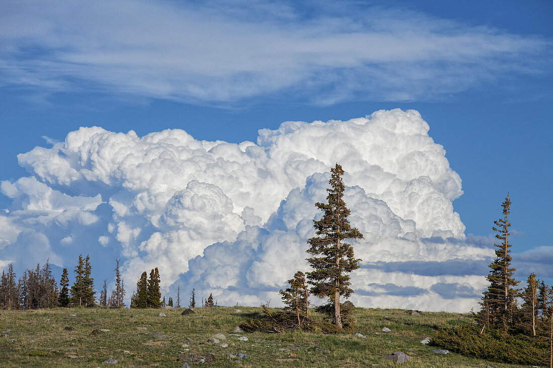 Cumulus Clouds,Wyoming