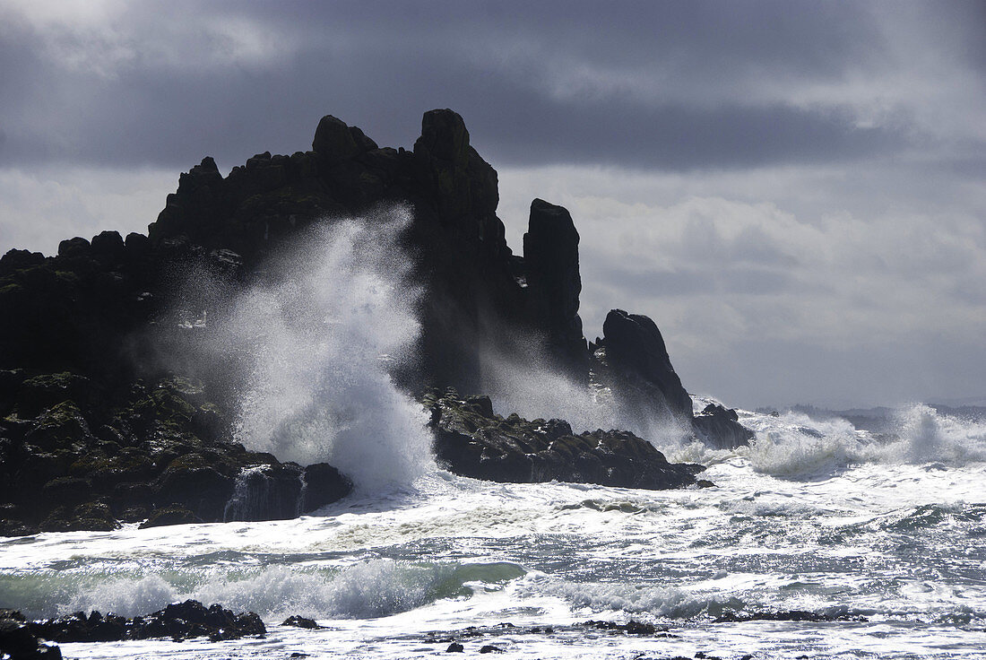 Pacific Waves Crashing on Rocks