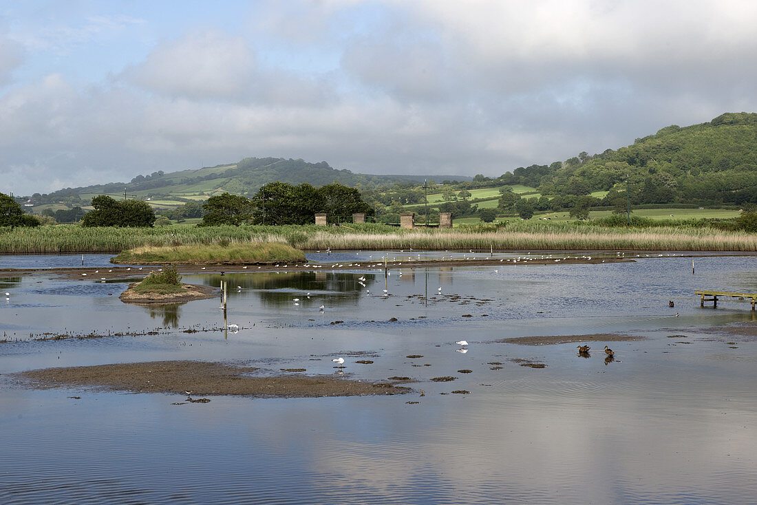 Devon Wetlands Nature Reserve