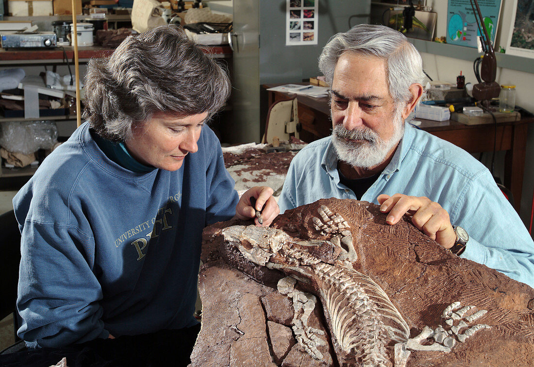 Paleontologists with Fossil