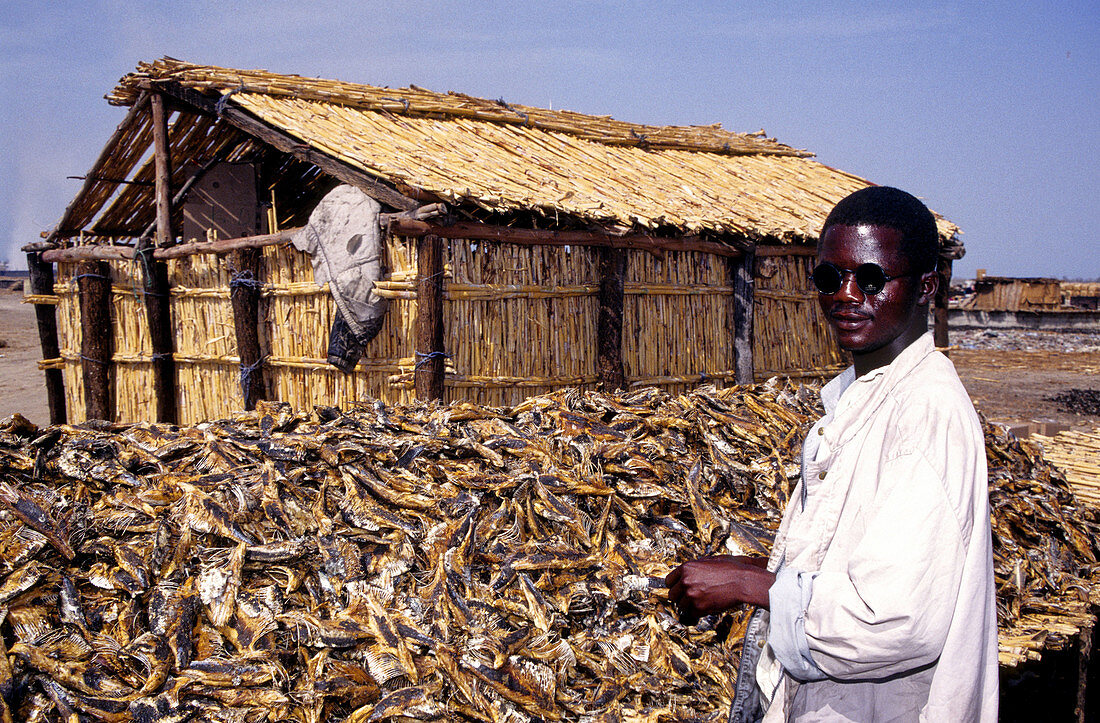 Drying Fish,Senegal