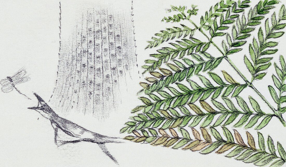 Fern and ancient lizard,illustration