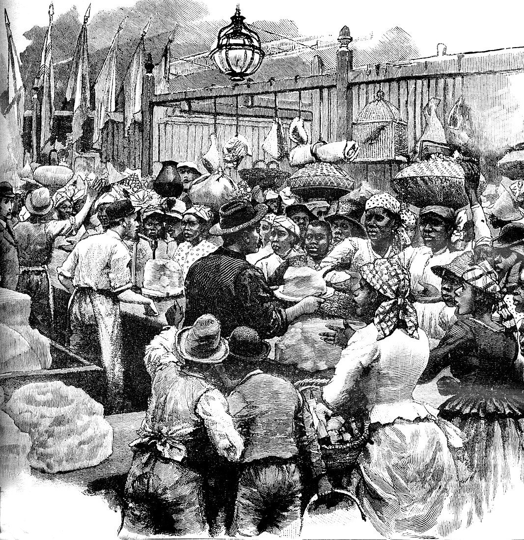 19th Century market,Guyana,illustration