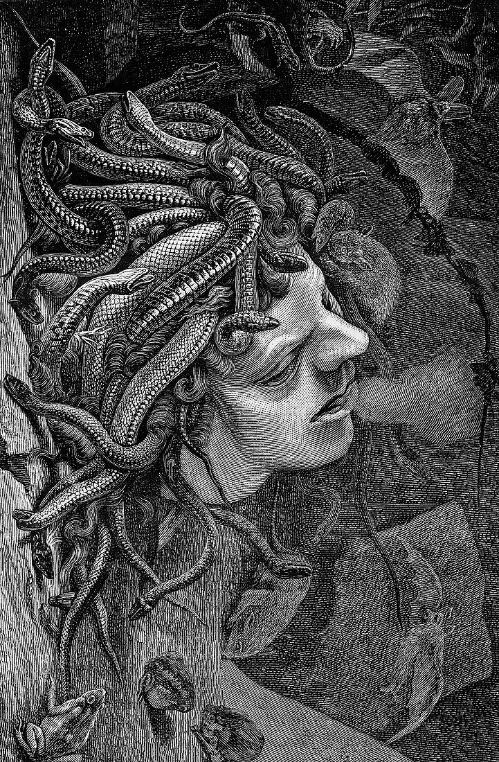 Medusa's Head,19th C illustration