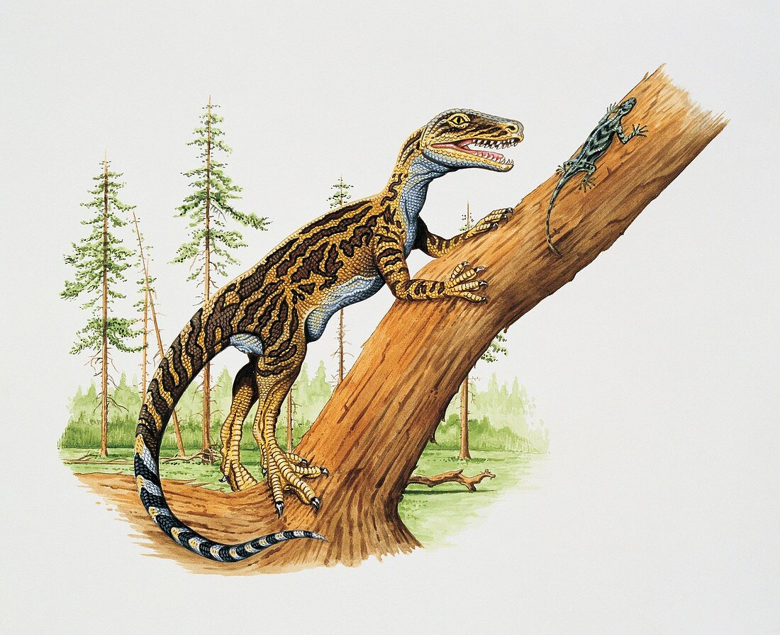 Dinosaur with a lizard,illustration