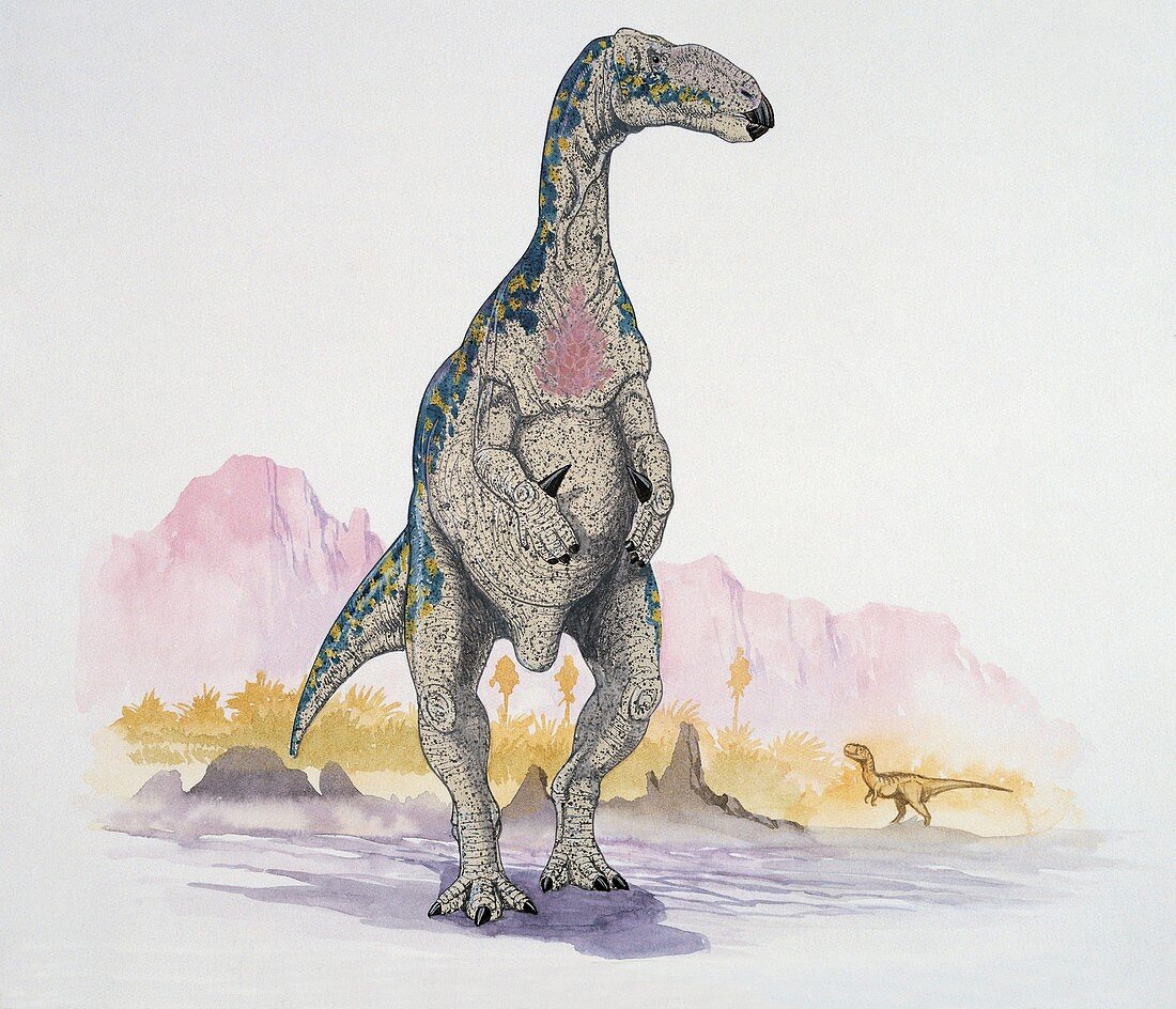 Dinosaur standing,illustration