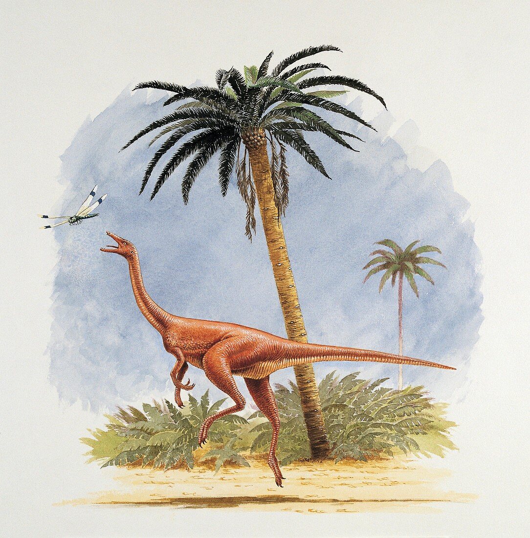 Dinosaur chasing a fly,illustration