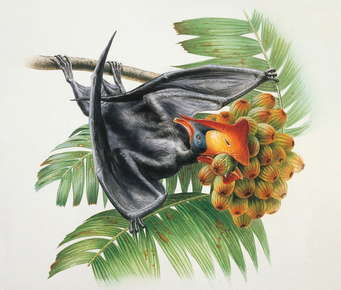 Bird perching on a branch,illustration
