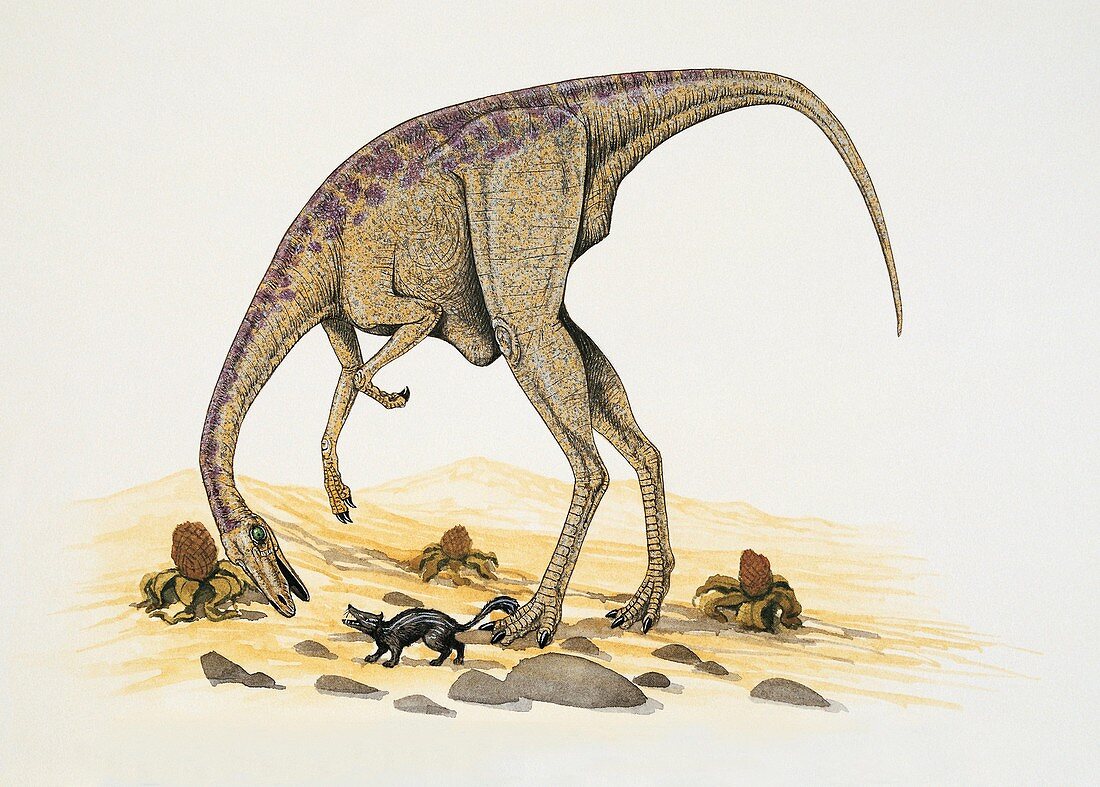 Dinosaur with an animal,illustration