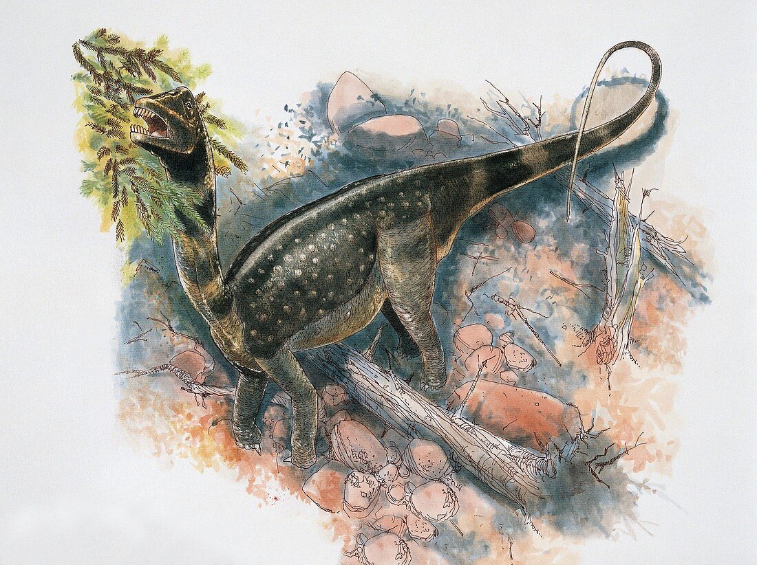 High angle view of dinosaur,illustration