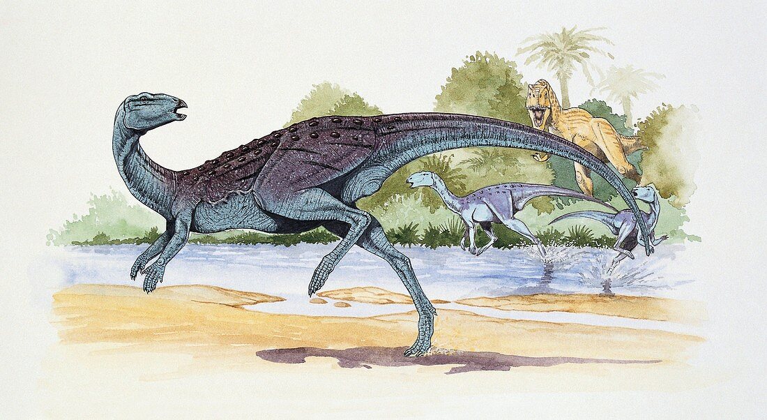 Thescelosaurus,illustration