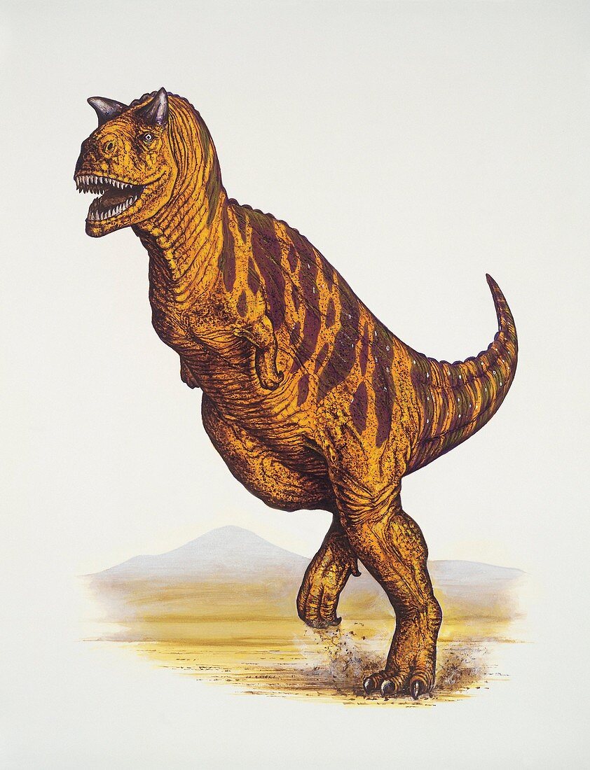 Close-up of a dinosaur,illustration