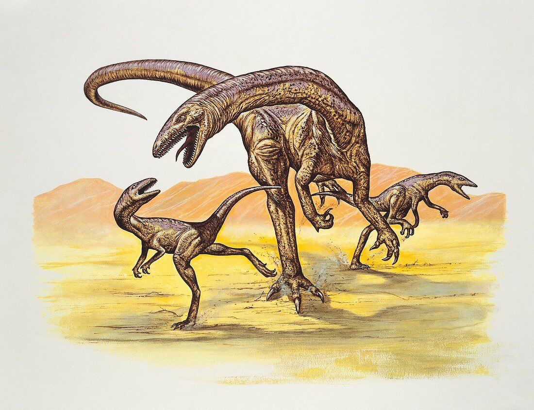 Close-up of dinosaurs,illustration