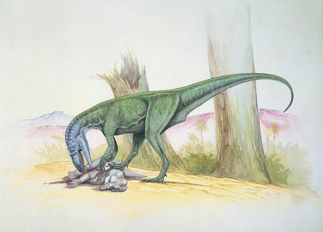 Profile of dinosaur eating,illustration