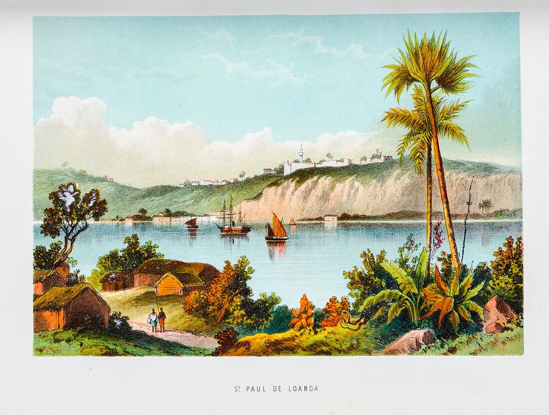 Port of Luanda,1854
