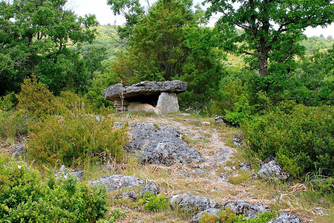 Petit Dolmen de Ferrussac,France