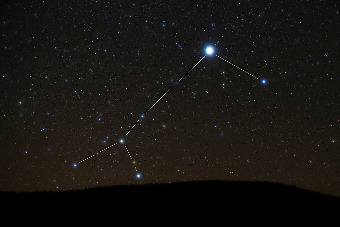 Canis Major Constellation