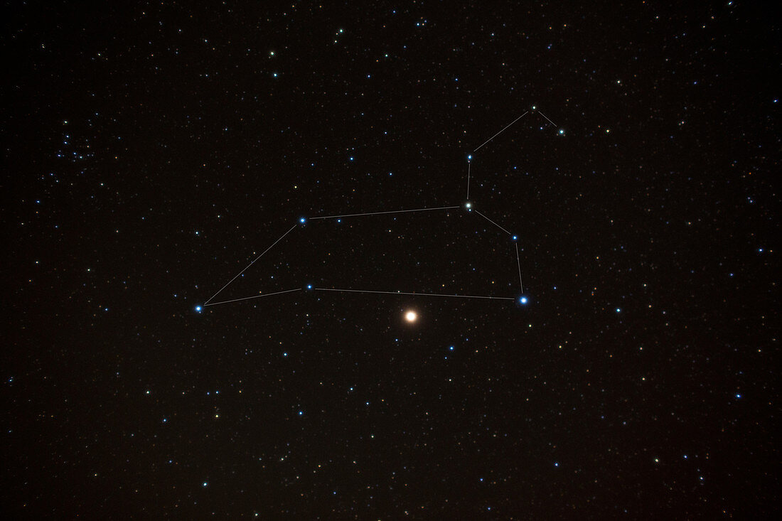 The Constellation Leo and Mars