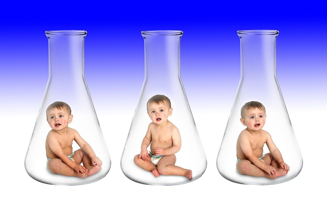 Designer babies,conceptual image