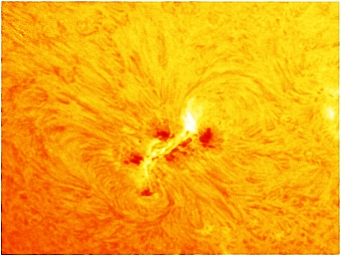 Sunspot 1429