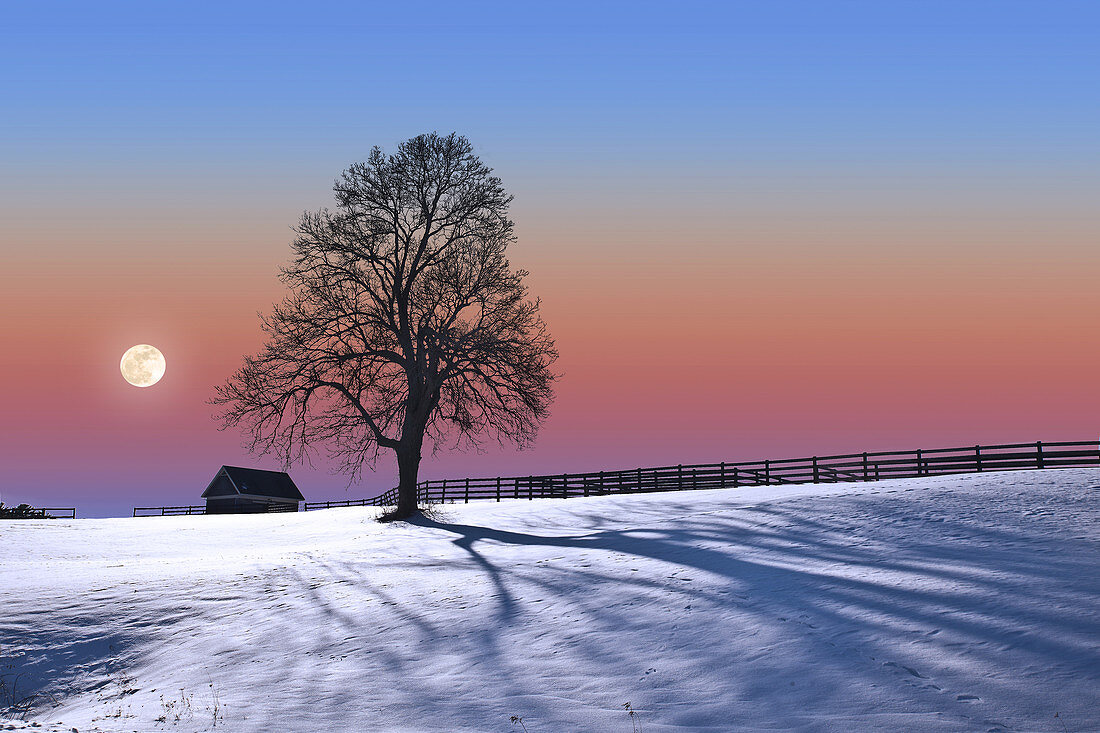 Belt of Venus at Sunset