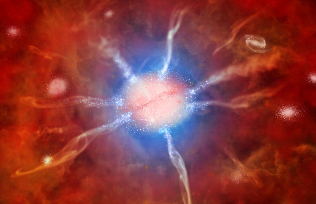 Phoenix Galaxy Cluster,Illustration