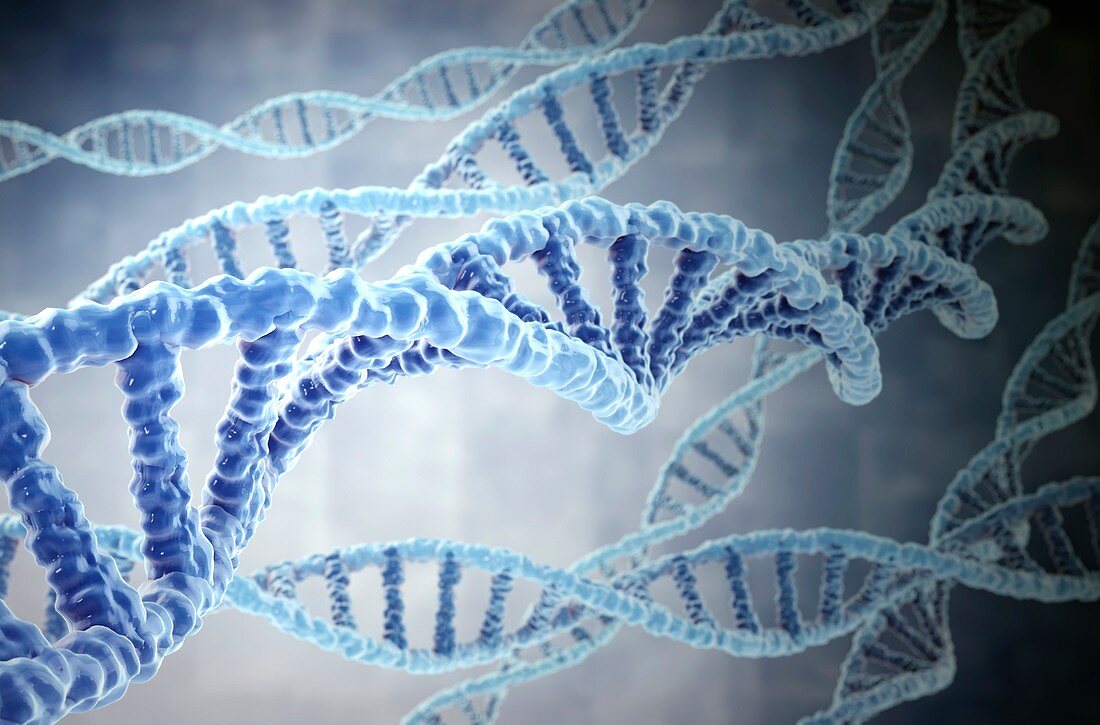 DNA strands,illustration