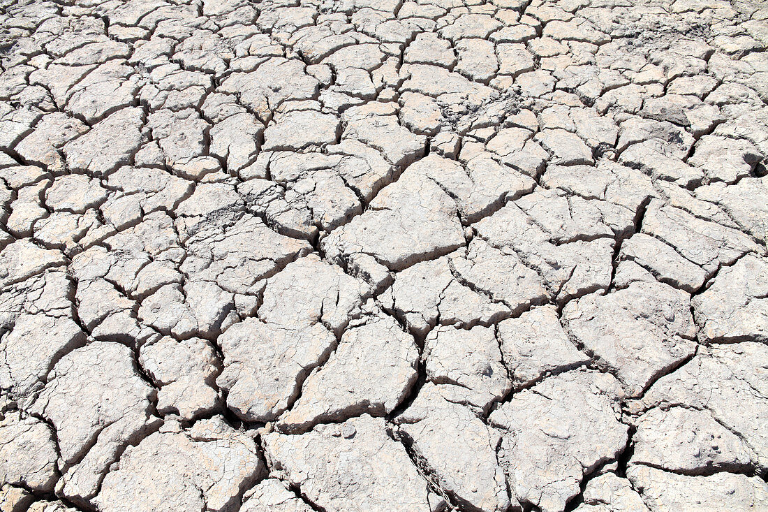 Dry farmland during drought