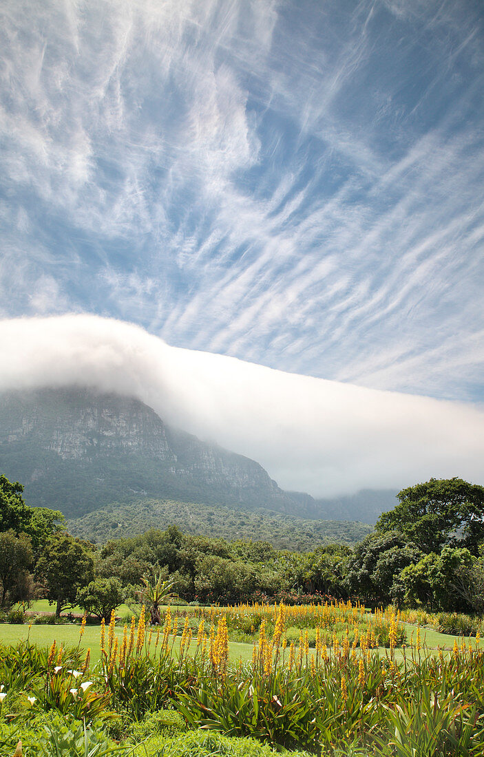 Table Mountain,South Africa