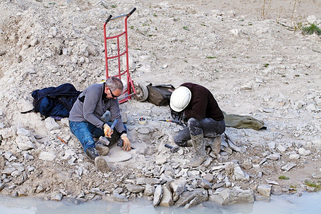 Fossil hunters at work