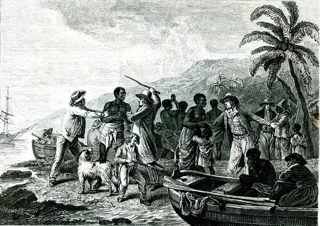 Slave trade,19th C illustration