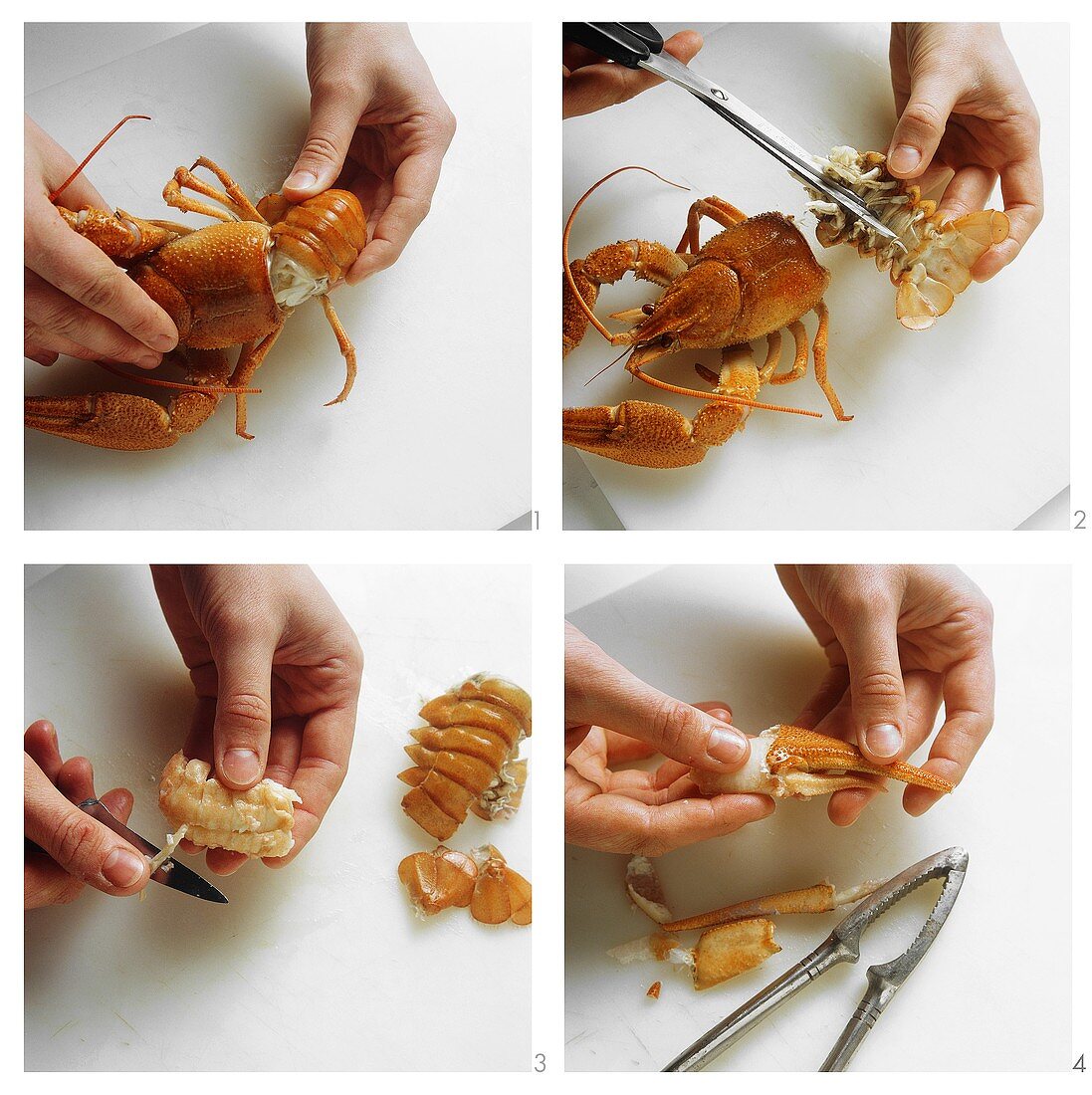 Taking crab meat out of the shell