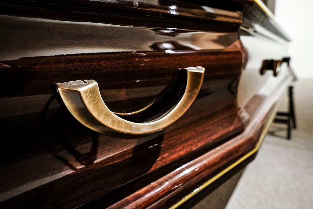 Coffin handle