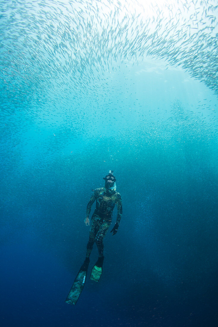 Freediving,the Philippines