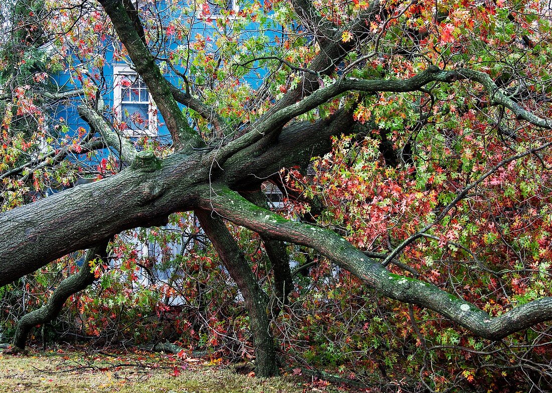 Hurricane Sandy aftermath,New Jersey,US