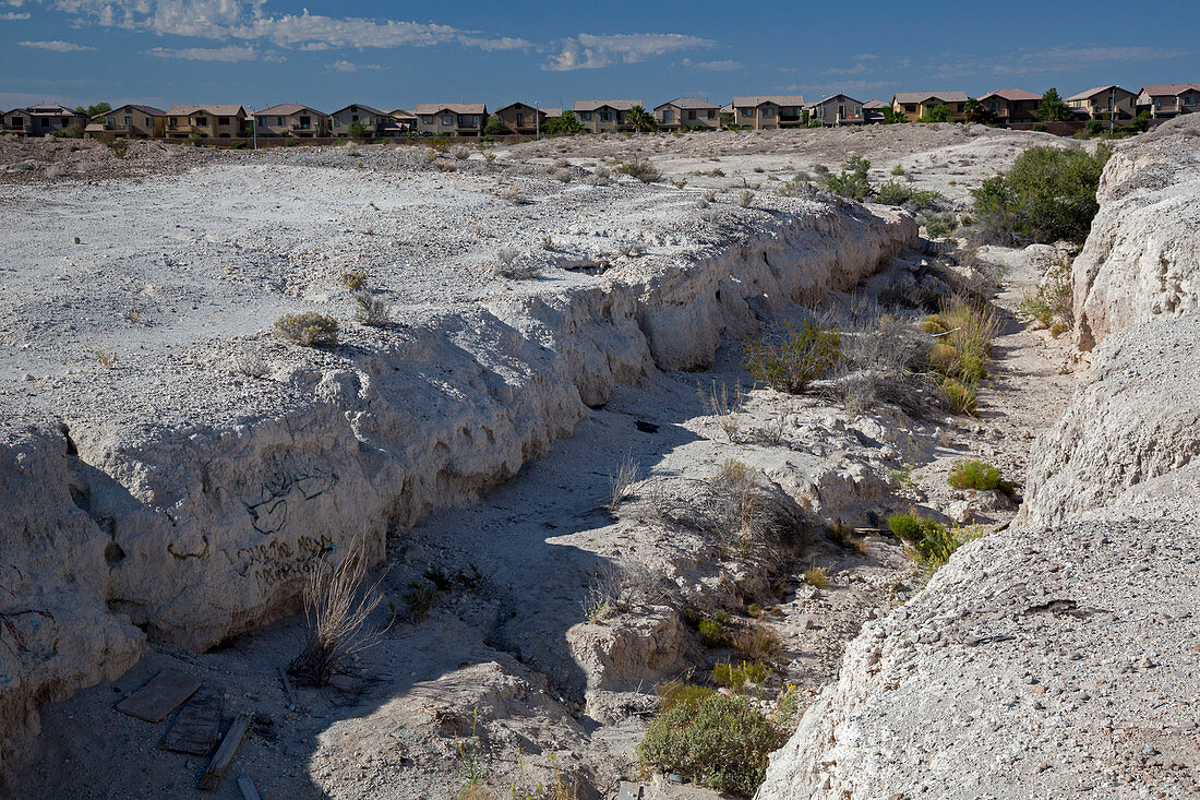 Tule Springs Fossil Beds