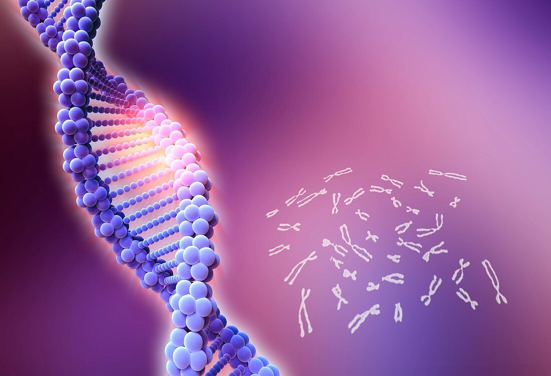 CRISPR-Cas9 gene editing,illustration