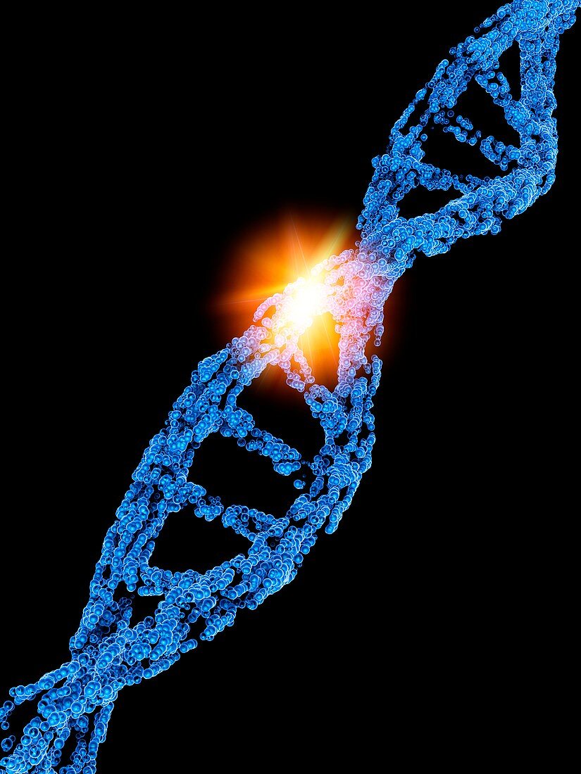 CRISPR-Cas9 gene editing,illustration