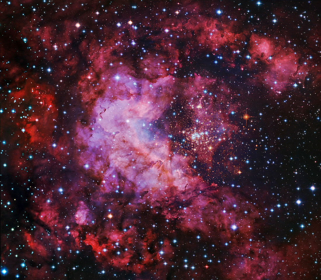 Westerlund 2 star cluster and nebulae