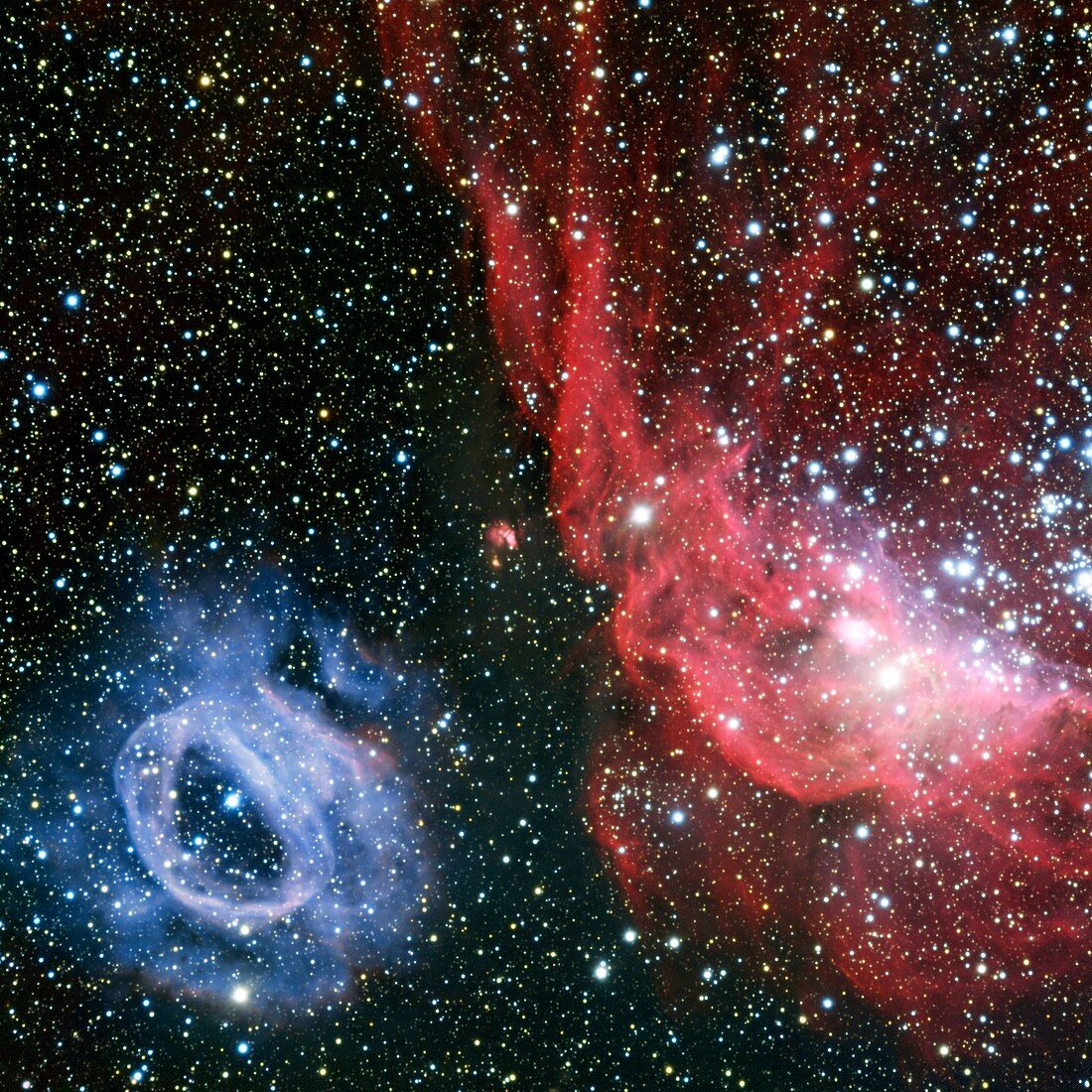 Nebulae NGC 2020 and NGC 2014
