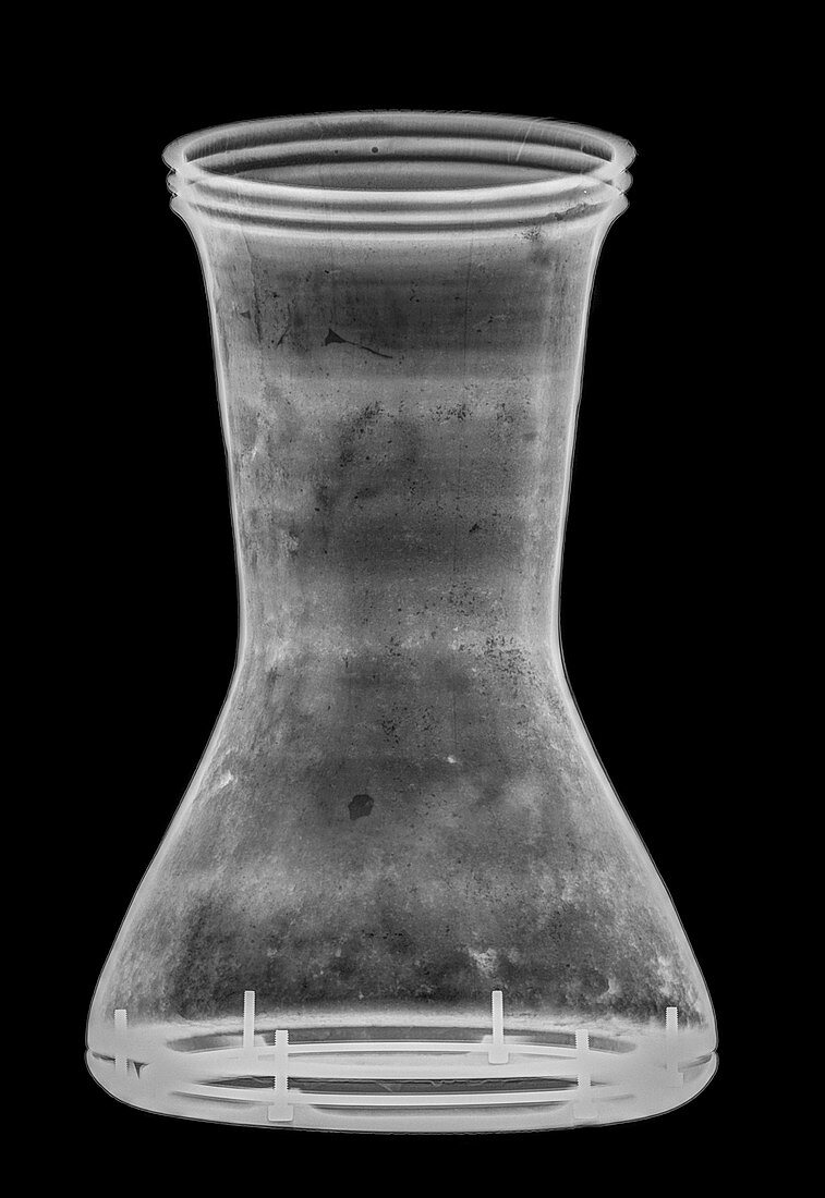 x-ray of a Goblet Drum