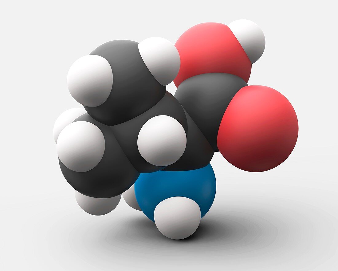 Valine amino acid molecule