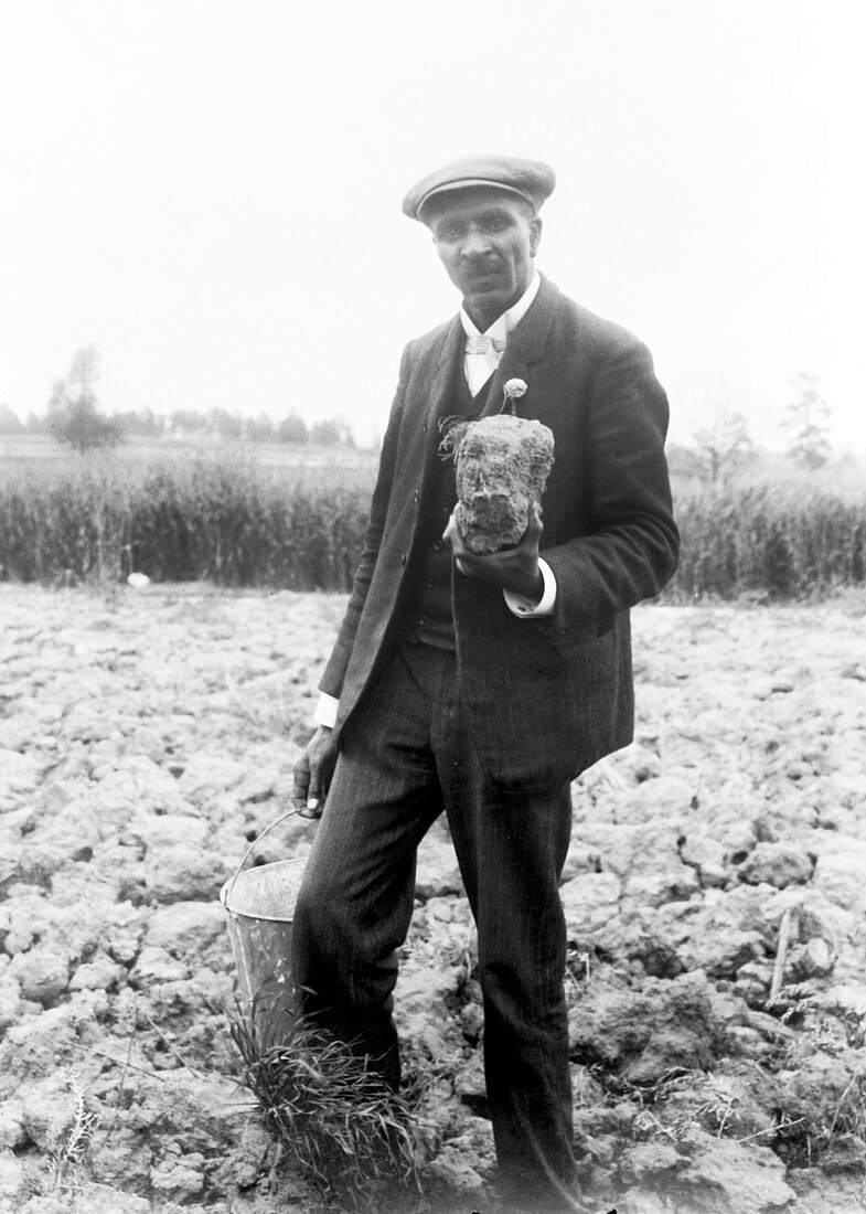 George W. Carver,US agriculturalist