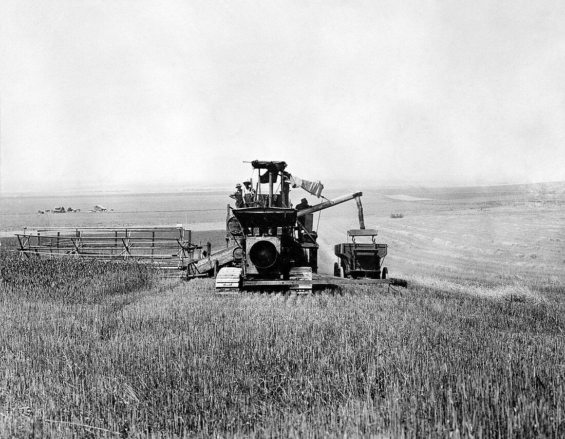 Combine harvester and thresher,1936