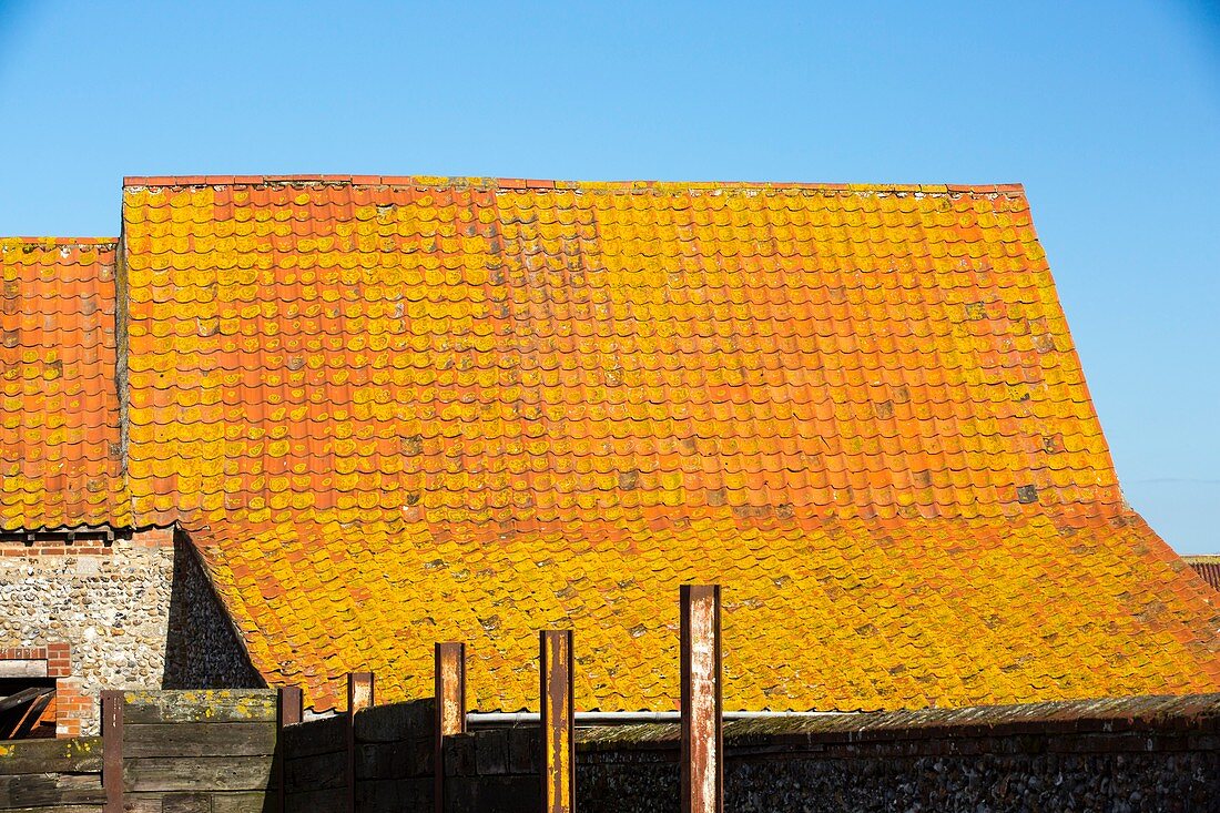 Lichen covered clay tiled roofs