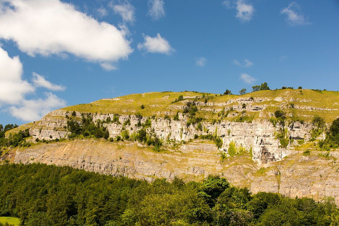 Limestone escarpment,Cumbria,UK